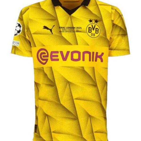 24-25 Dortmund player edition Champions League football jersey