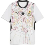 Replica 2026 FIFA World Cup Puma Ghana Replica home short sleeve T-shirt